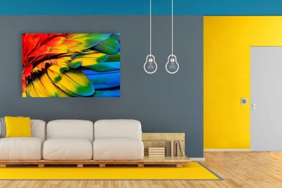parete-colorata-grigia-quadro-piume-colorate-divano-chiaro-tappeto-giallo